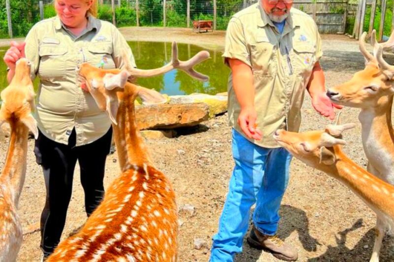This Family Favorite Is Packed With Giraffes, Bears, Big Cats, and Hands-On Animal Encounters