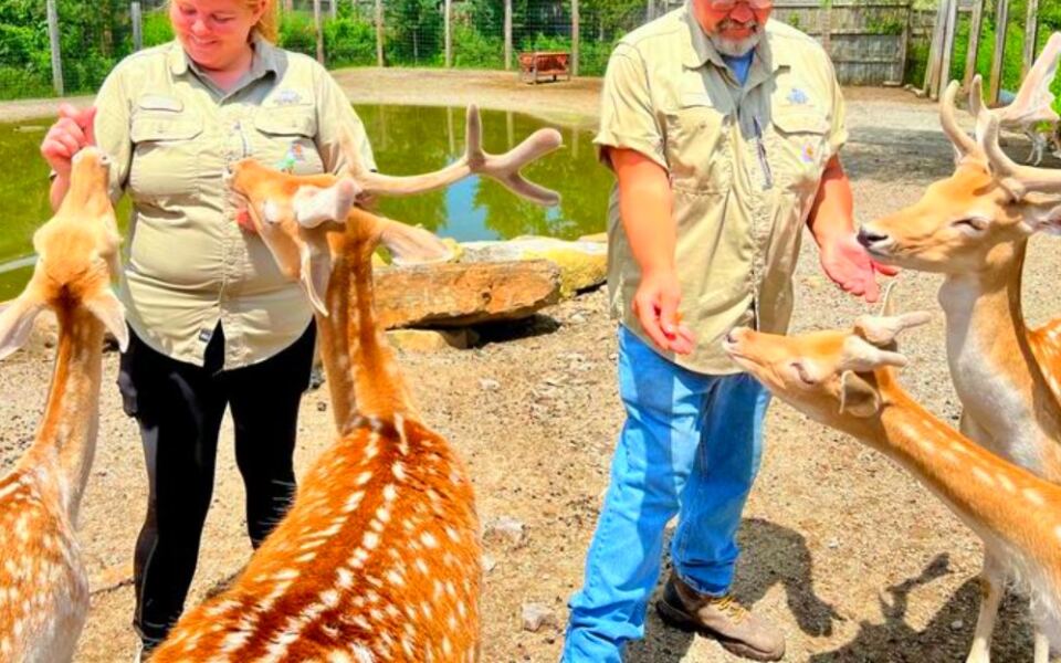 This Family Favorite Is Packed With Giraffes, Bears, Big Cats, and Hands-On Animal Encounters
