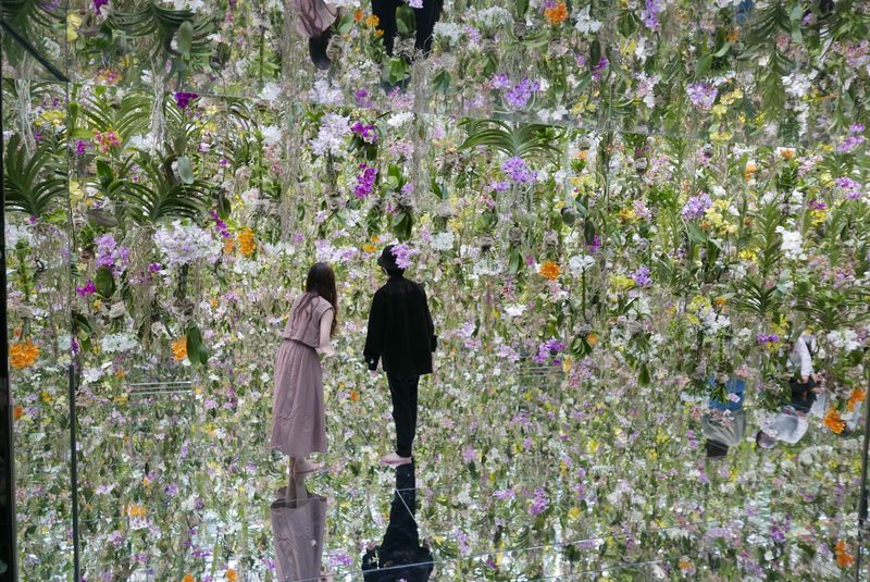 teamLab Planets TOKYO, Toyosu