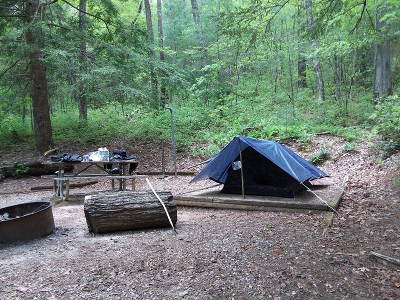 #1 Ammons Branch Campground, Aquone, NC