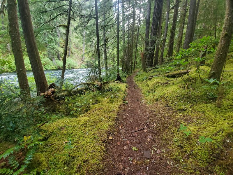 A 26-Mile Ribbon Through the Cascades A 26-Mile Ribbon Through the Cascades