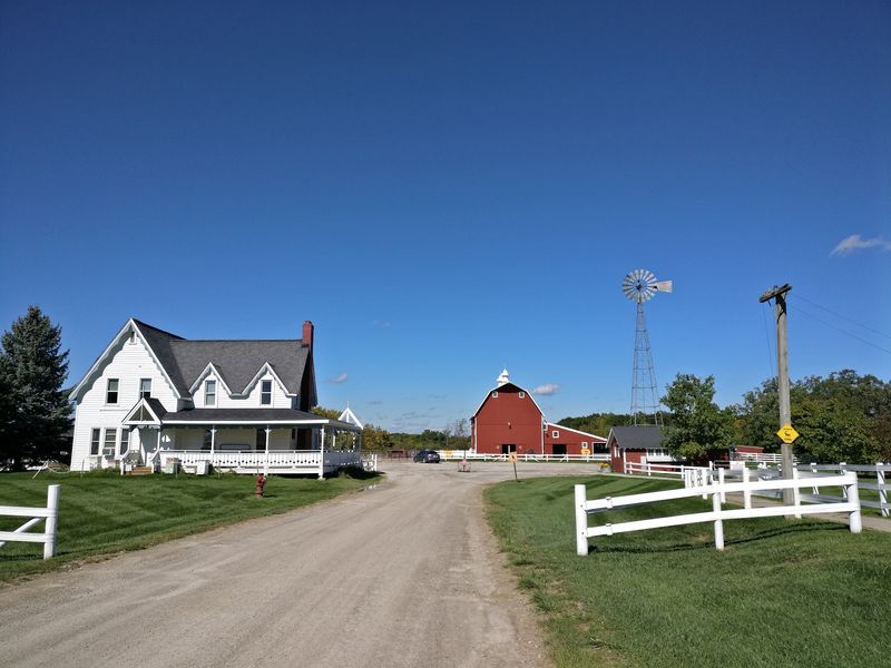 A Barnyard Next Door to Ann Arbor