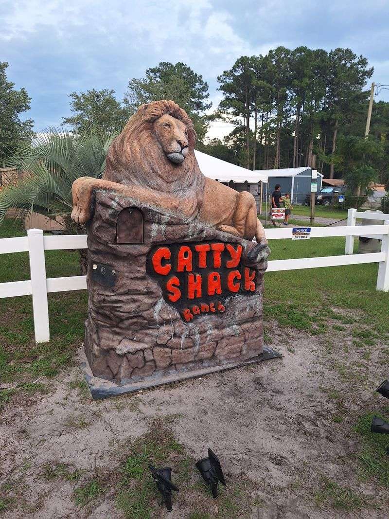 A Big Cat Refuge Behind a Neighborhood Street A Big Cat Refuge Behind a Neighborhood Street