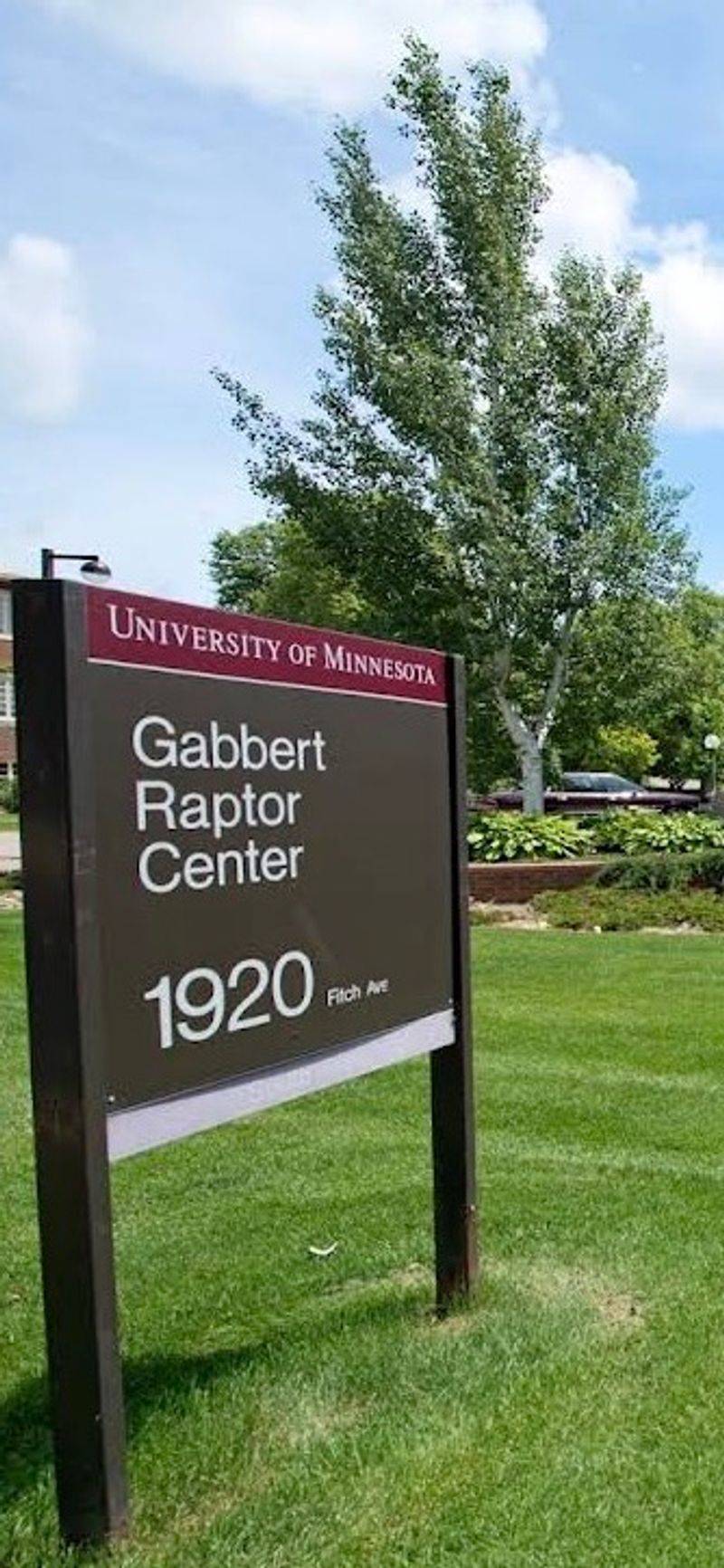 A Bird Hospital Hiding on a College Campus