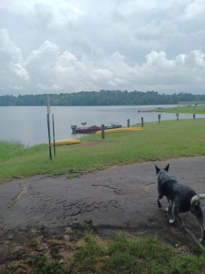 A Boat Ramp Beside the Dam in Hawkins A Boat Ramp Beside the Dam in Hawkins