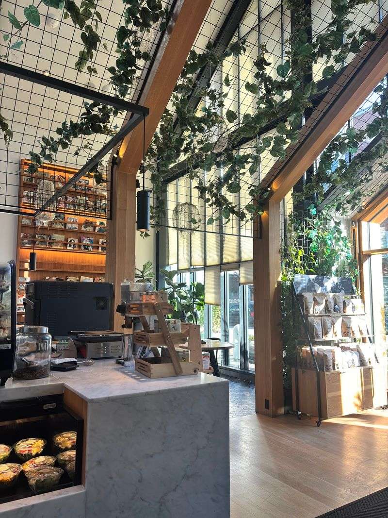 A Budget Best Checked at the Counter A Budget Best Checked at the Counter