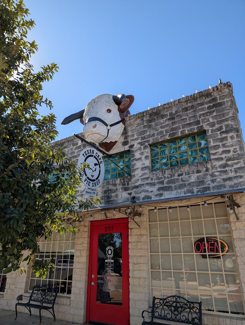 A Bull on the Roof in Downtown Hutto A Bull on the Roof in Downtown Hutto