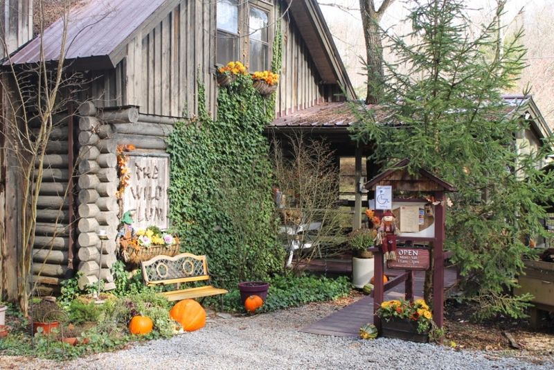 A Cabin on Buckhorn Road
