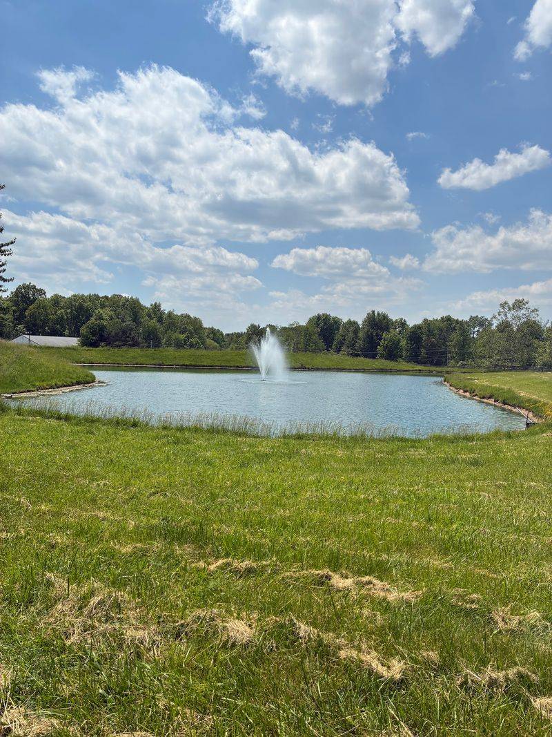 A Calm Pace That Welcomes Every Kind Of Visitor A Calm Pace That Welcomes Every Kind Of Visitor