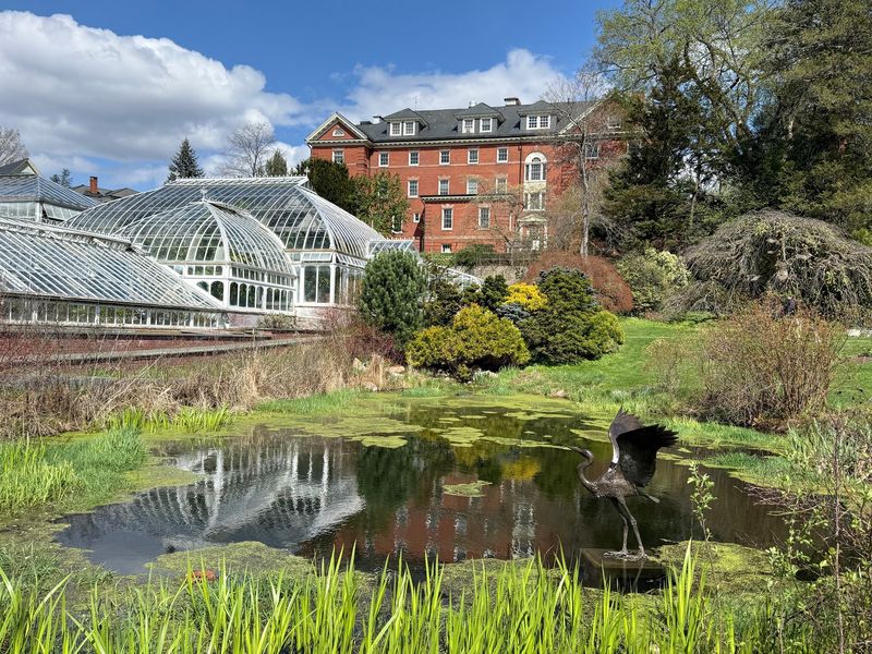 A Campus Oasis on College Lane