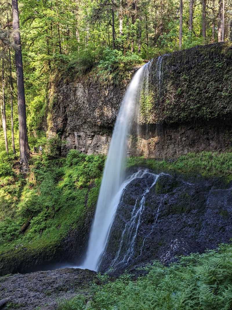 A Canyon Full of Falls Just Off the Road