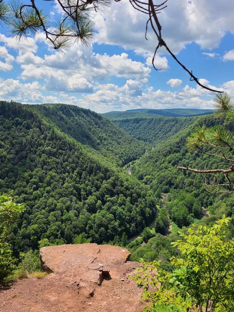 A Canyon View Hiding in Tioga County
