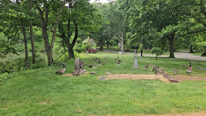 A Cemetery That Feels Like A Park A Cemetery That Feels Like A Park