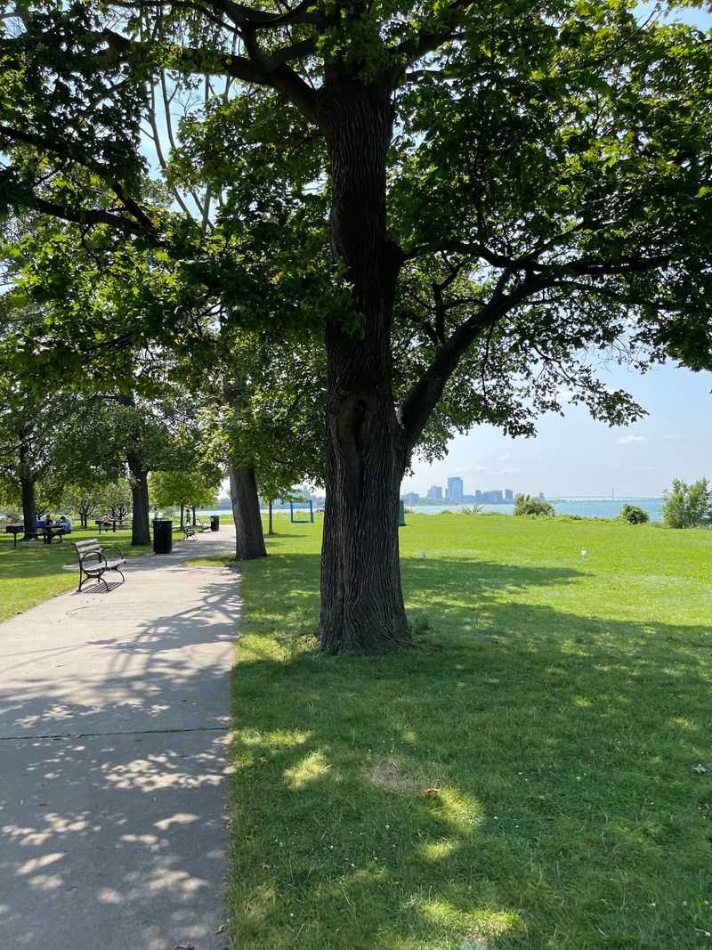 A Central Park Designer Left His Mark