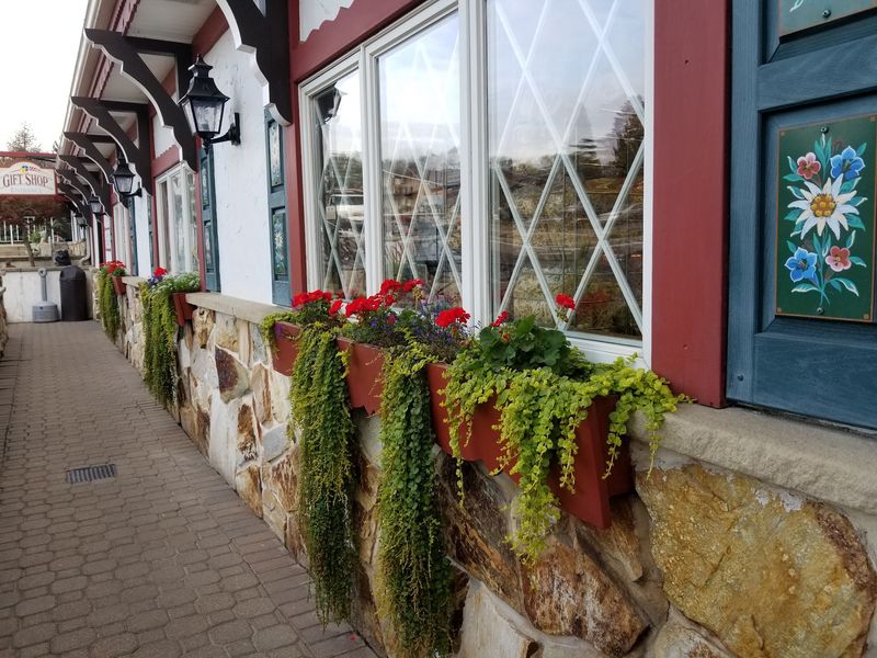 A Cheese Stop Tucked Into Amish Country