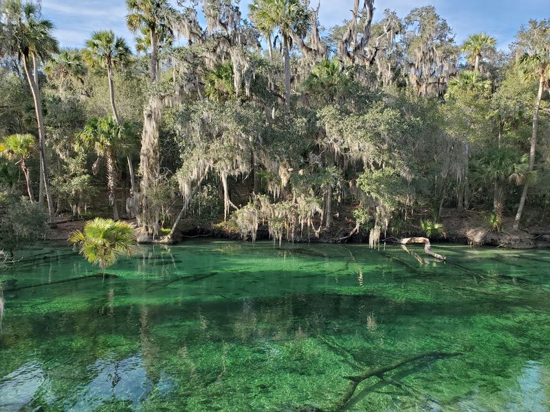 A Clear Spring Pouring Into the St. Johns River A Clear Spring Pouring Into the St. Johns River