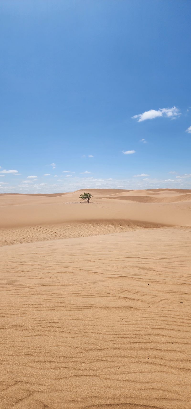 A Desert Hiding in Northwest Oklahoma A Desert Hiding in Northwest Oklahoma
