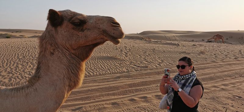 A Desert Safari With a Luxury Camp Experience A Desert Safari With a Luxury Camp Experience