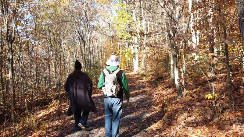 A Dirt Loop and Longer Wanders
