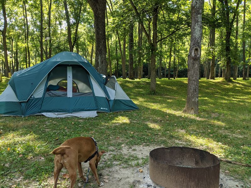 A Dog Park and Family-Friendly Feel A Dog Park and Family-Friendly Feel
