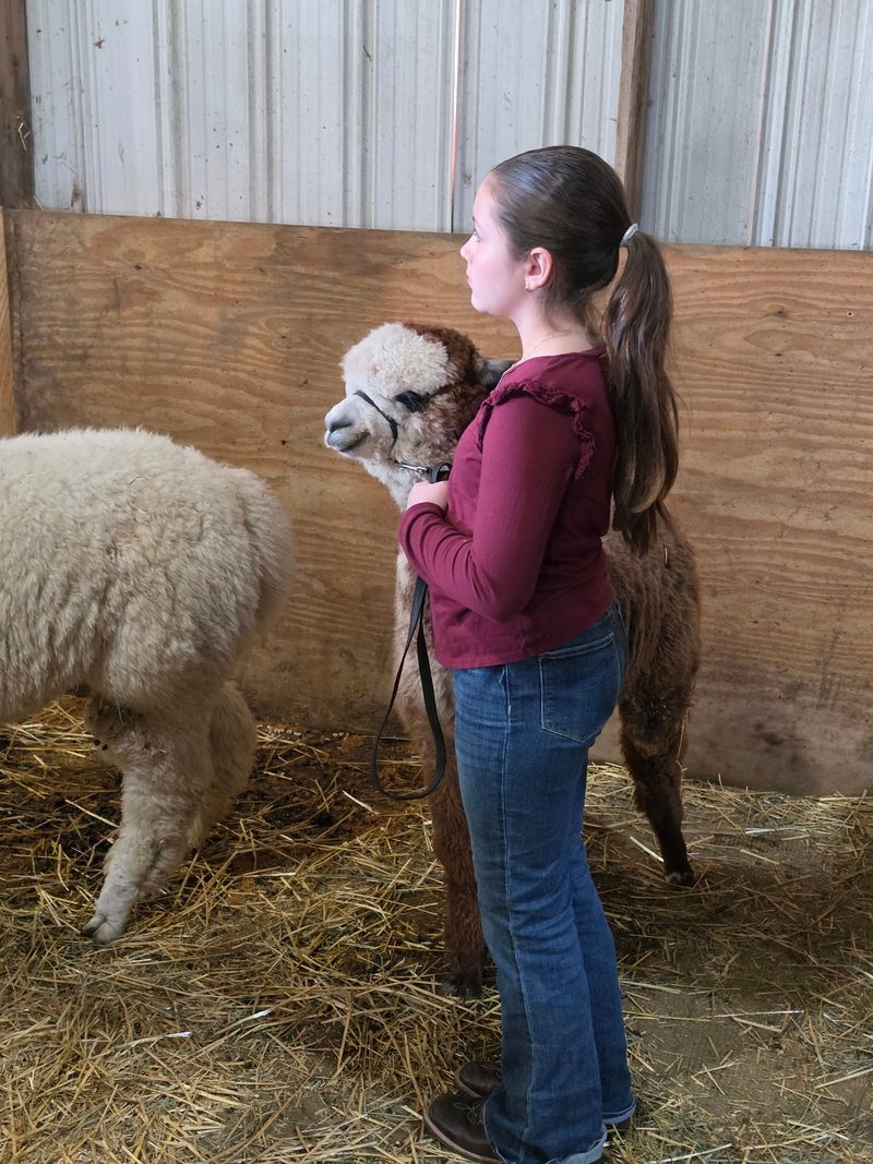 A Family Farm With Roots In 4-H
