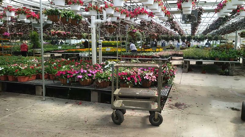 A Family Garden Center With Room to Explore A Family Garden Center With Room to Explore