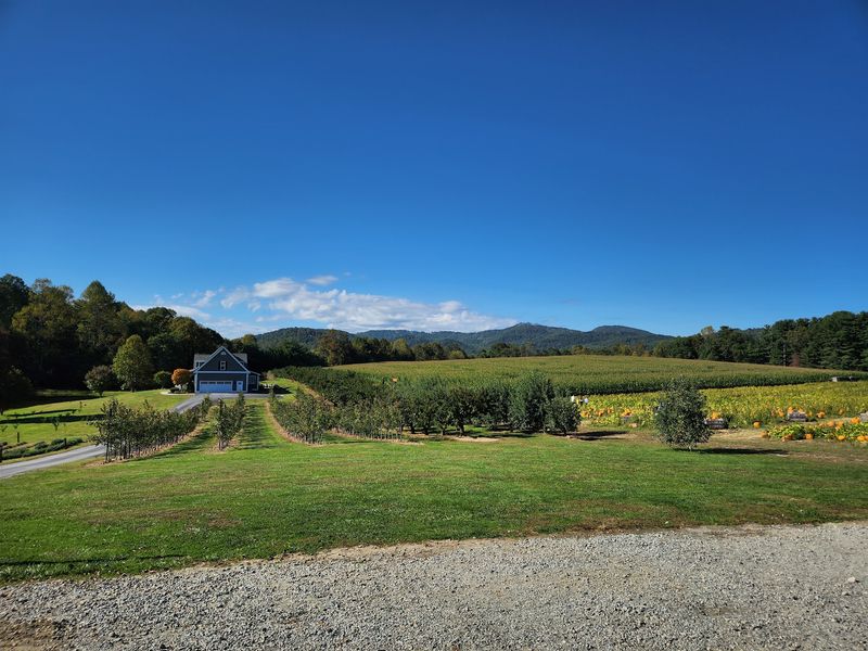 A Family Orchard on Chimney Rock Road