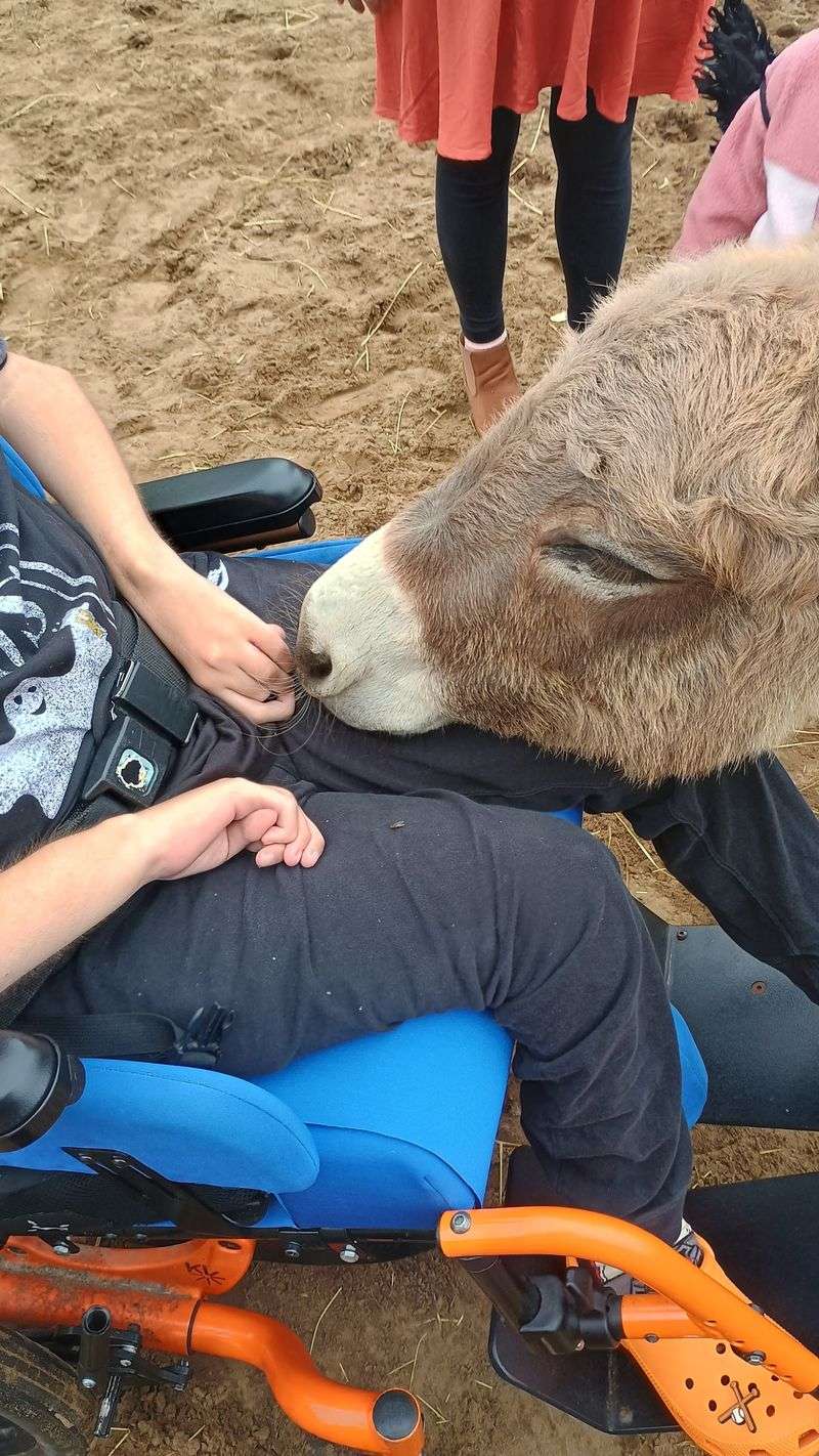 A Farm Built Around a Bigger Mission