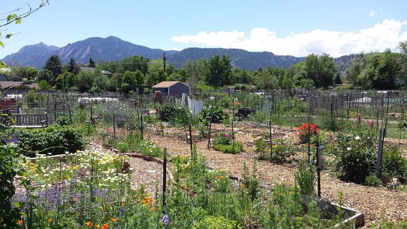 A Farm Stand With a Half-Price Twist