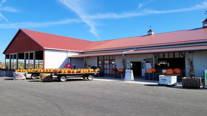 A Farm Stop Tucked Into Licking County Countryside
