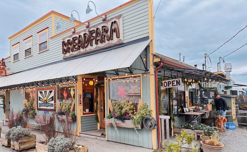 A Farm-Town Bakery Off Highway 11 A Farm-Town Bakery Off Highway 11