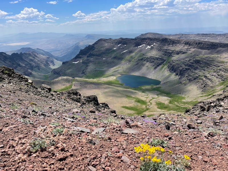 A Fifty-Mile Giant in Harney County