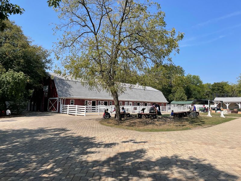 A Five-Acre Animal Haven in DuPage County A Five-Acre Animal Haven in DuPage County