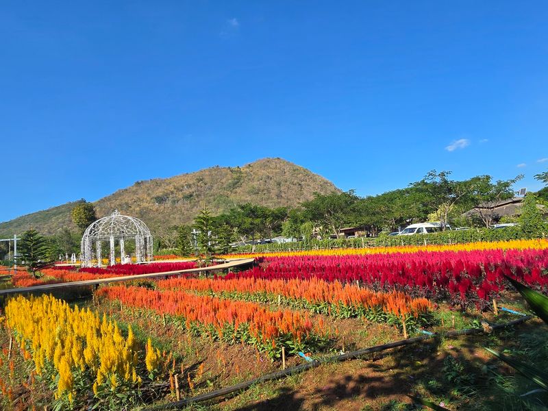 A Flower Garden Worth the Detour A Flower Garden Worth the Detour