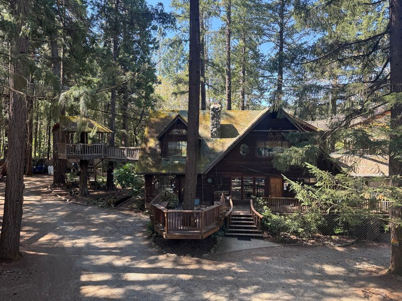 A Forest Hideout Near Cave Junction