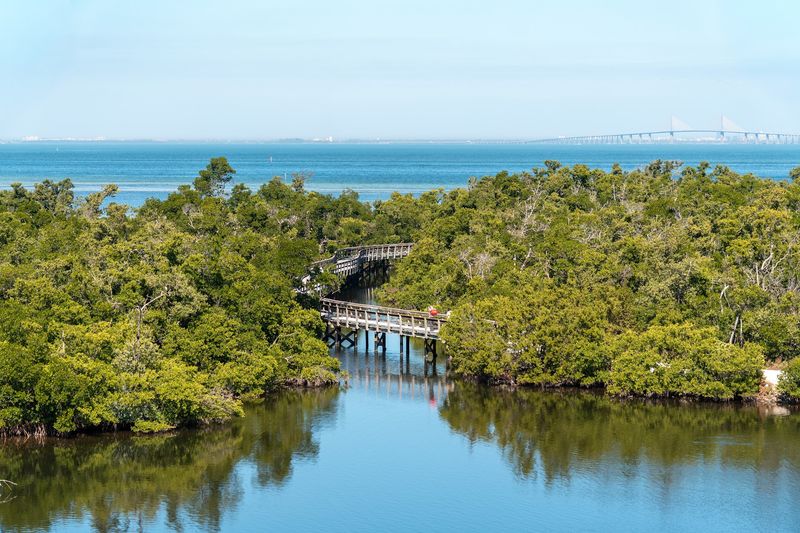 A Free Wild Escape on the Edge of Tampa Bay A Free Wild Escape on the Edge of Tampa Bay