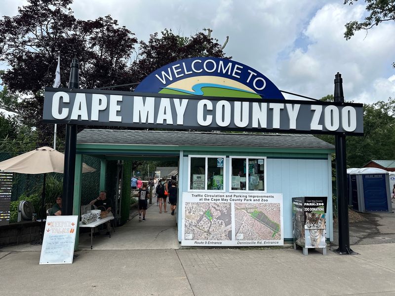 A Free Zoo That Feels Like It Should Cost Something