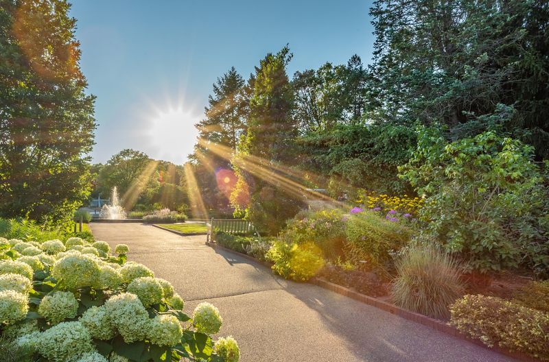 A Garden Giant West Of The Twin Cities