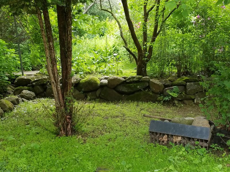 A Garden That Never Looks the Same Twice A Garden That Never Looks the Same Twice