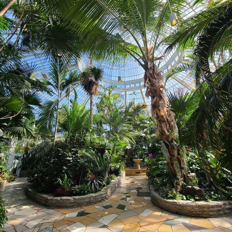 A Glass Oasis Inside Como Park A Glass Oasis Inside Como Park
