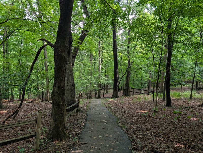 A Green Escape in Kirkwood
