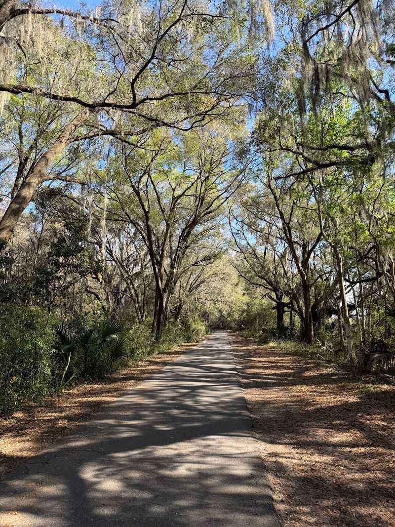 A Greenway Hiding in Plain Sight West of Orlando A Greenway Hiding in Plain Sight West of Orlando