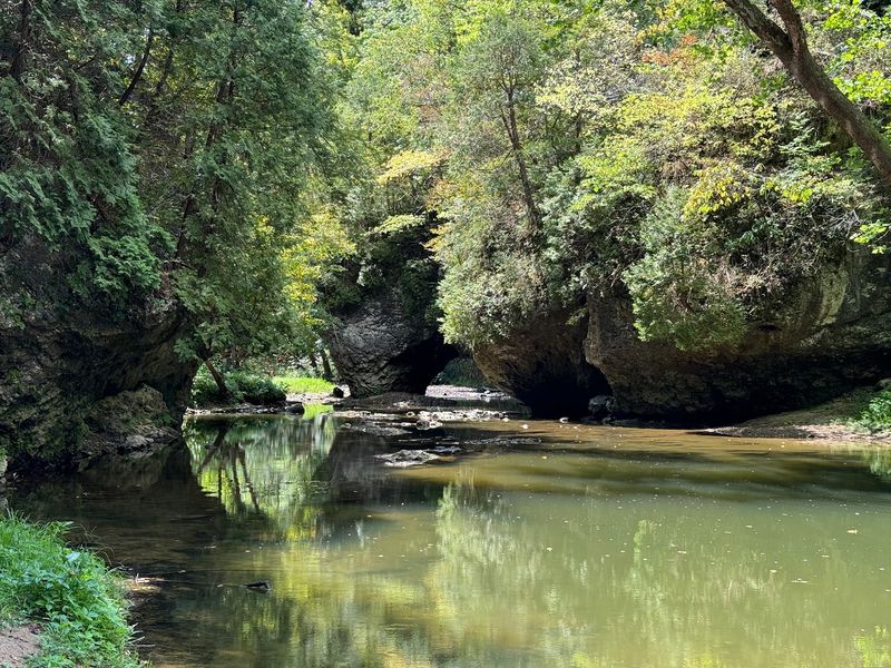 A Hidden Gorge in Southern Ohio