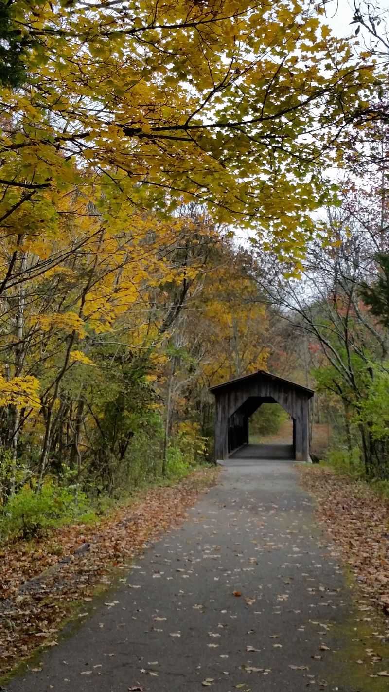 A Highway Moved Underground to Save the Past A Highway Moved Underground to Save the Past