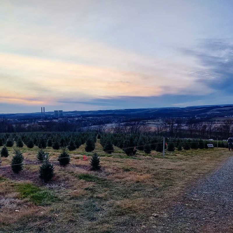A Hilltop View Made for Holiday Photos A Hilltop View Made for Holiday Photos