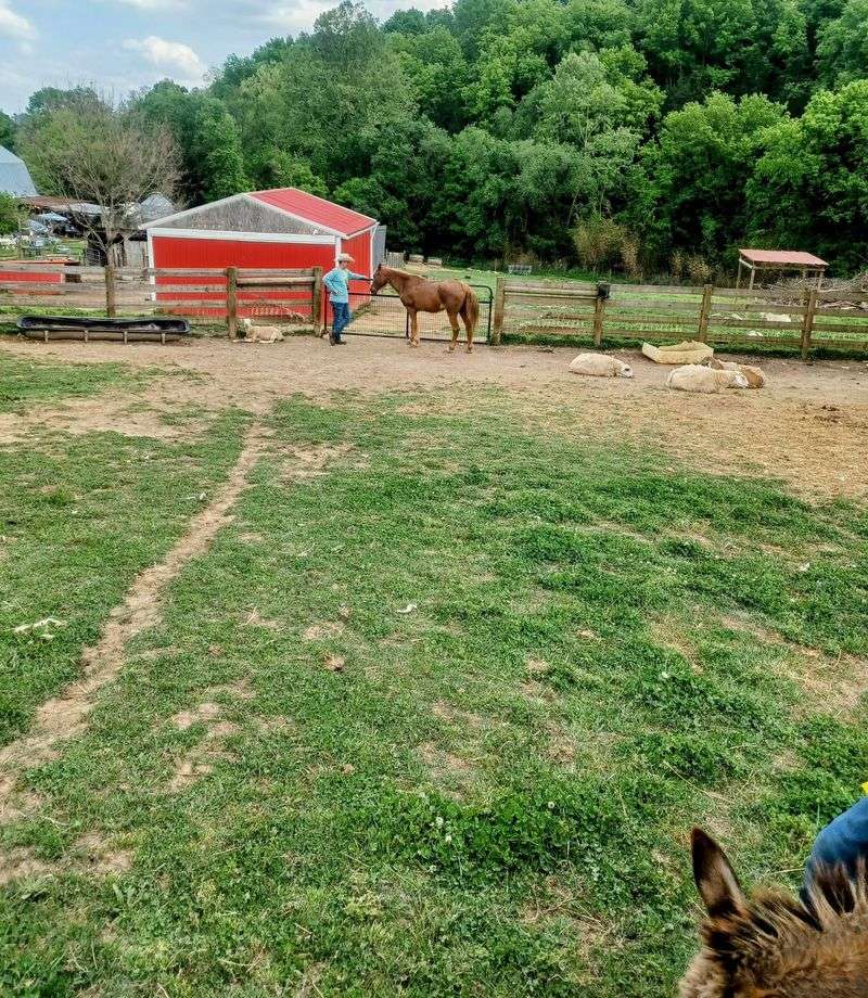 A Hollow Road Hideaway Near Nashville A Hollow Road Hideaway Near Nashville