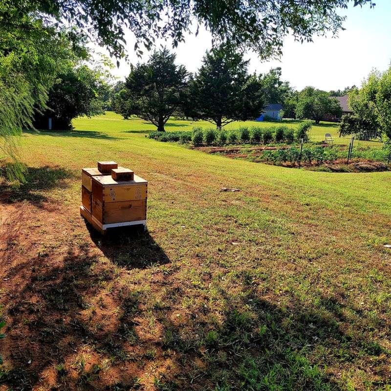 A Honey Farm Tucked Into Osage County A Honey Farm Tucked Into Osage County