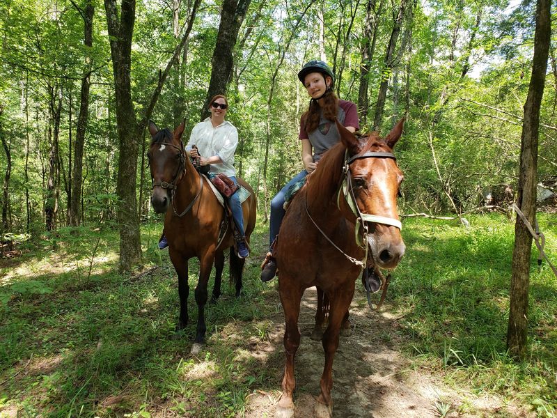 A Horse Farm Hiding in North Raleigh