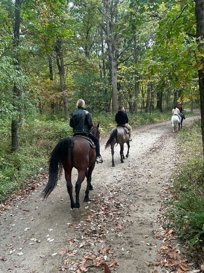 A Horse Farm Hiding in the South Suburbs A Horse Farm Hiding in the South Suburbs