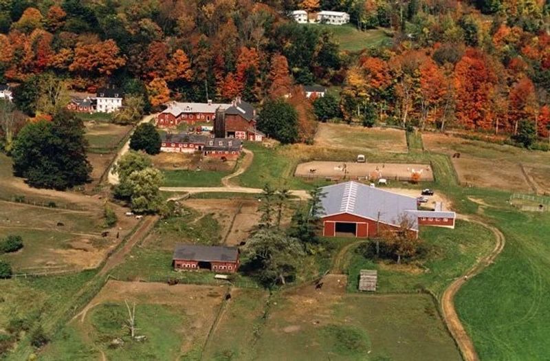 A Horse Farm at the Foot of the Mountain